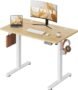DEVAISE Escritorio Elevable Eléctrico 100 x 60cm (40% de descuento)