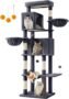Feandrea PCT183G02 (25% de descuento)