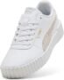 Puma Carina 3.0 Topcat (45% de descuento)